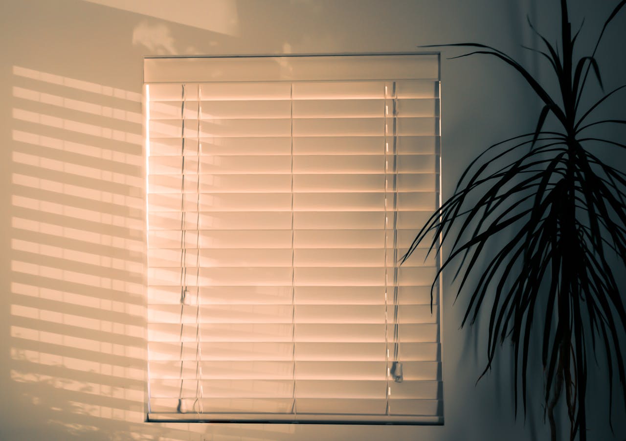 Horizontal Blinds
